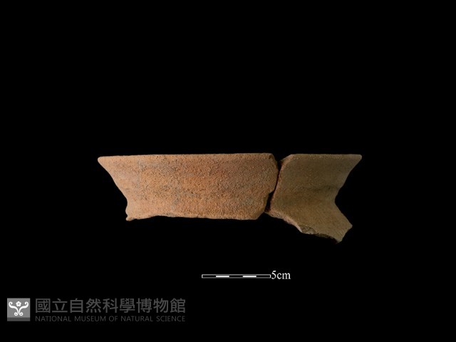 陶罐藏品圖，第3張