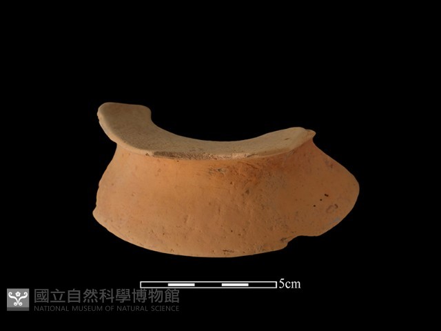陶片藏品圖，第1張