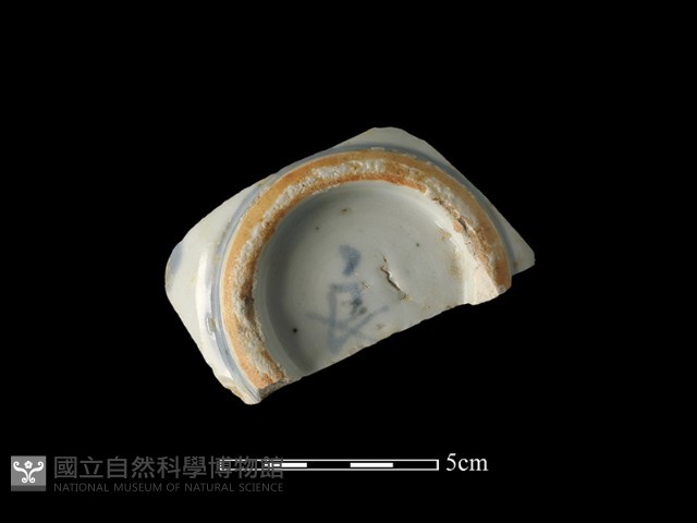 瓷片藏品圖，第2張