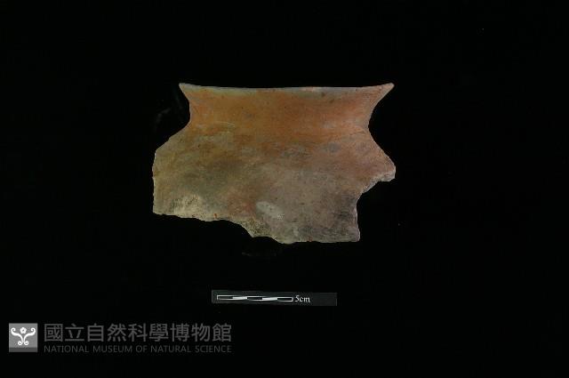 陶罐藏品圖，第1張