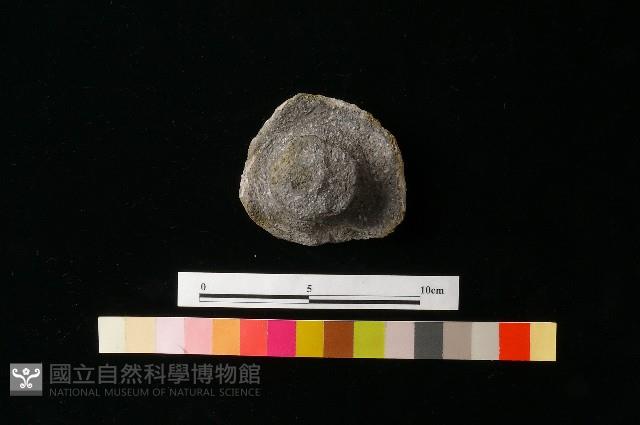 陶蓋藏品圖，第3張