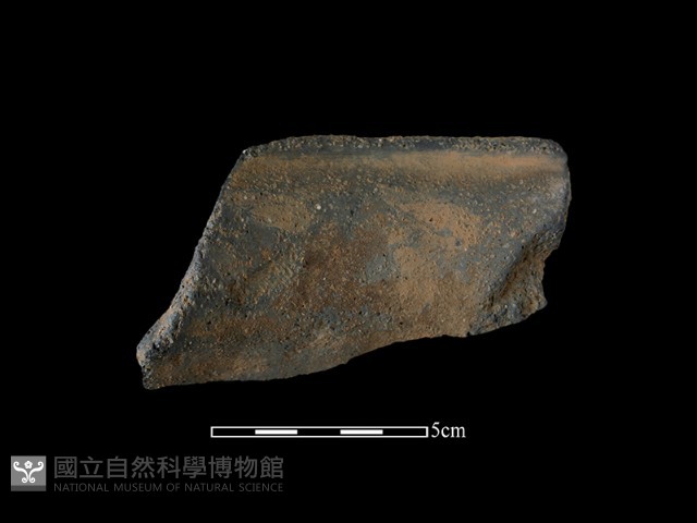 陶罐藏品圖，第1張