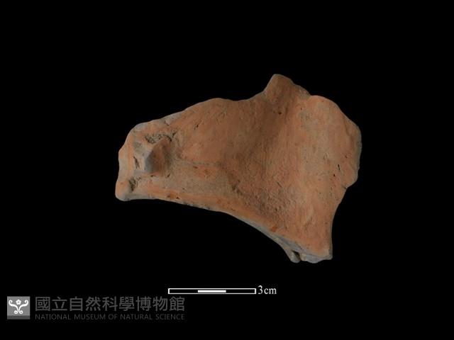 連杯形器藏品圖，第2張