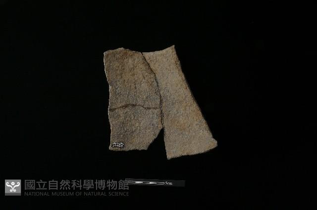 陶片藏品圖，第2張