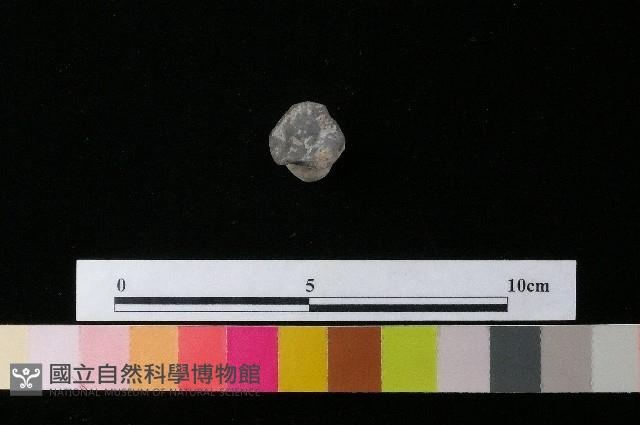 陶鈕藏品圖，第1張