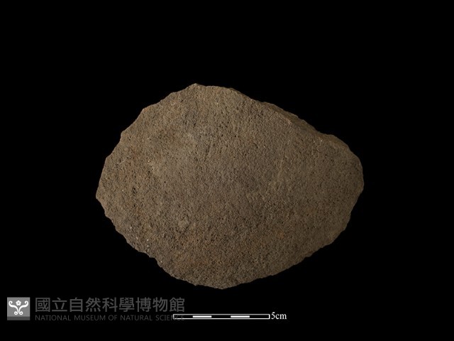 石片器藏品圖，第2張