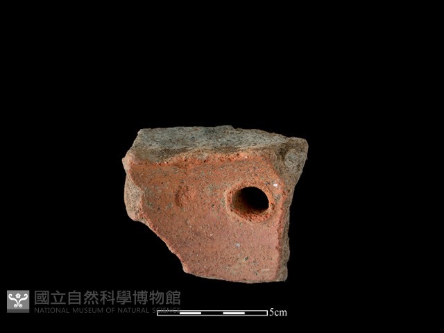 陶片藏品圖，第2張