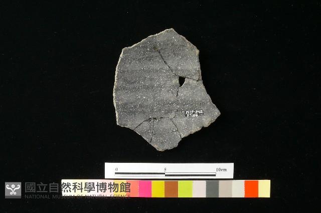 陶片藏品圖，第2張