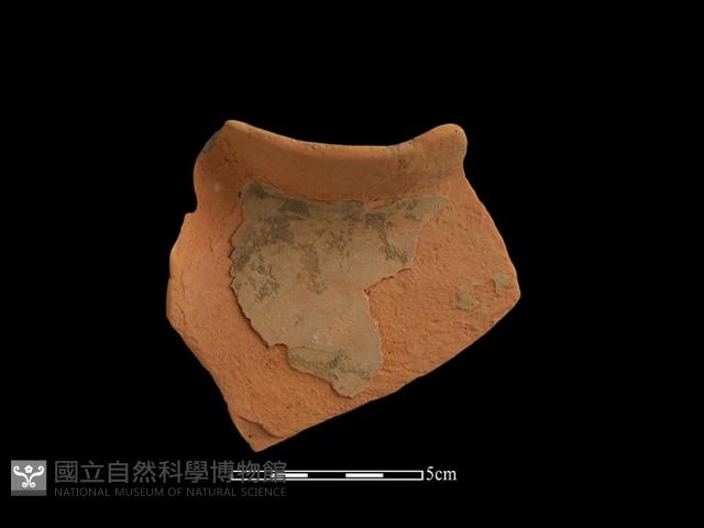 連杯形器藏品圖，第1張