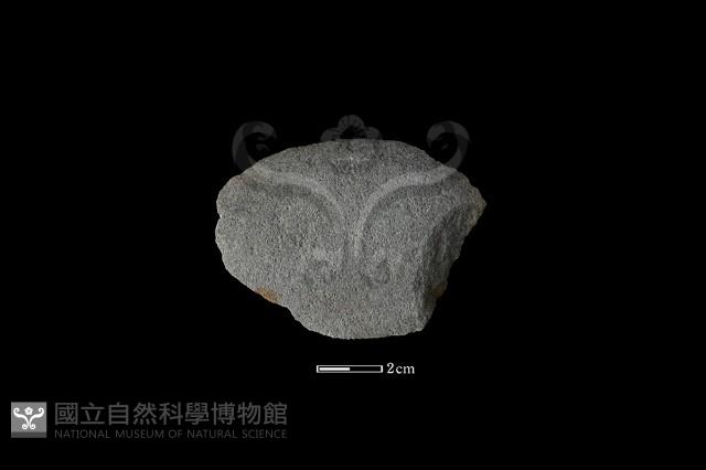 石片器藏品圖，第2張