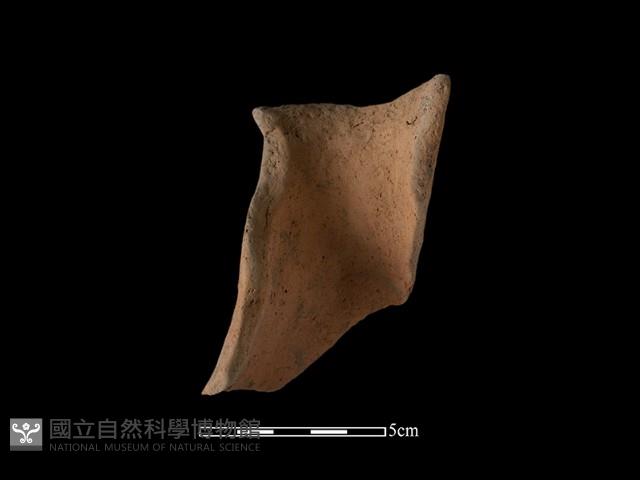 陶片藏品圖，第2張