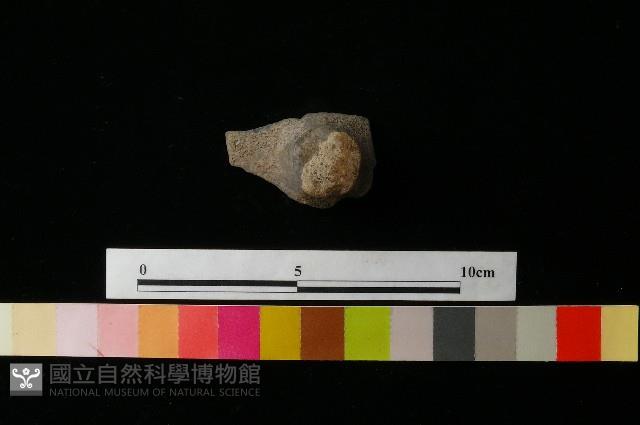 陶蓋藏品圖，第2張