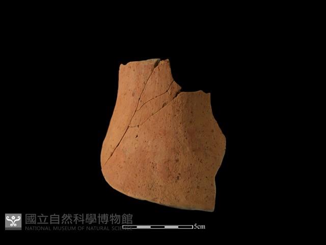 陶片藏品圖，第2張