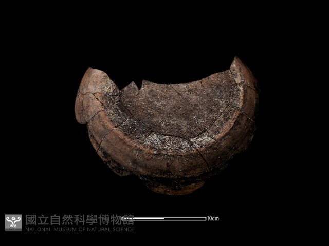 陶缸藏品圖，第1張