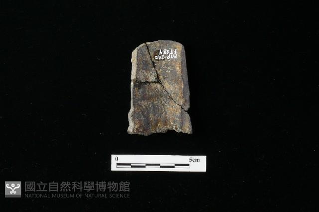 陶器藏品圖，第1張