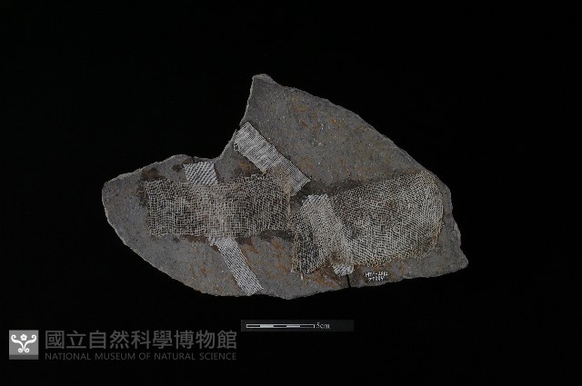陶片藏品圖，第1張