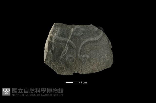 石片器藏品圖，第2張