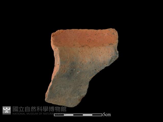 Accession Number:TC273-2018-134 Collection Image, Figure 2, Total 2 Figures