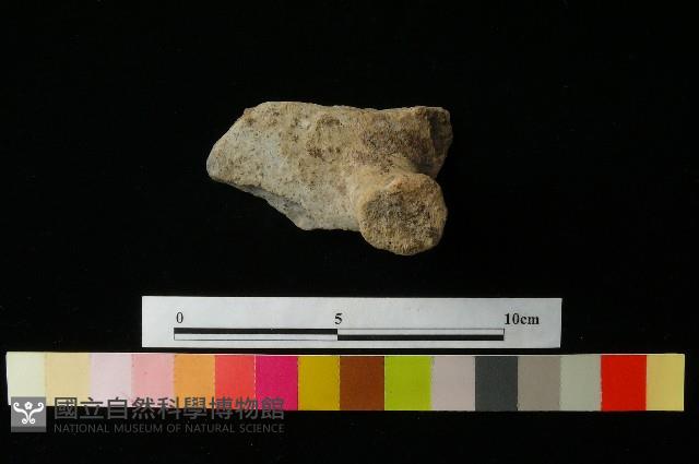 陶蓋藏品圖，第3張