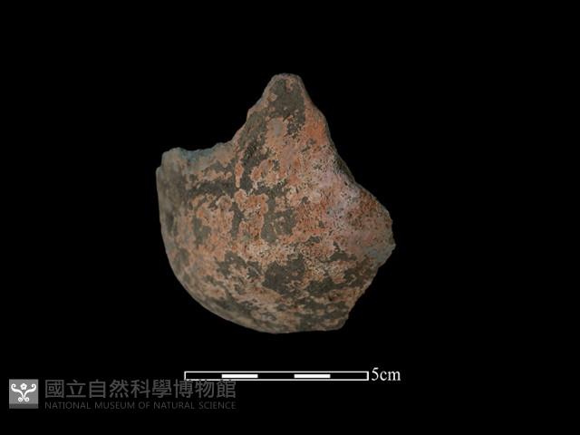 陶缽藏品圖，第2張