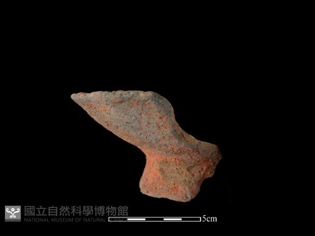 豆形器藏品圖，第1張