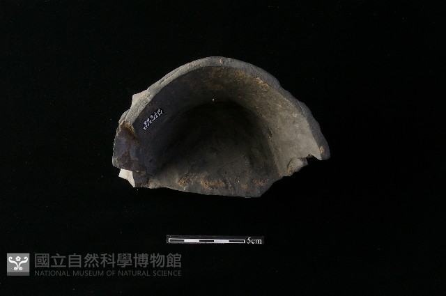 豆形器藏品圖，第2張