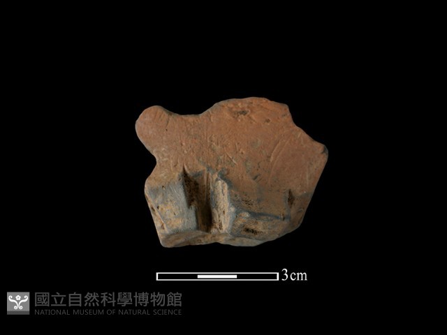 陶片藏品圖，第1張