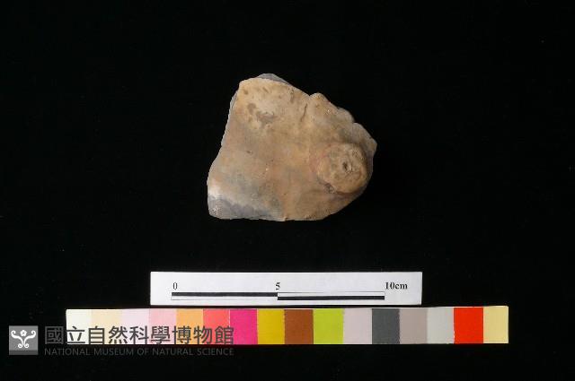 陶蓋藏品圖，第3張