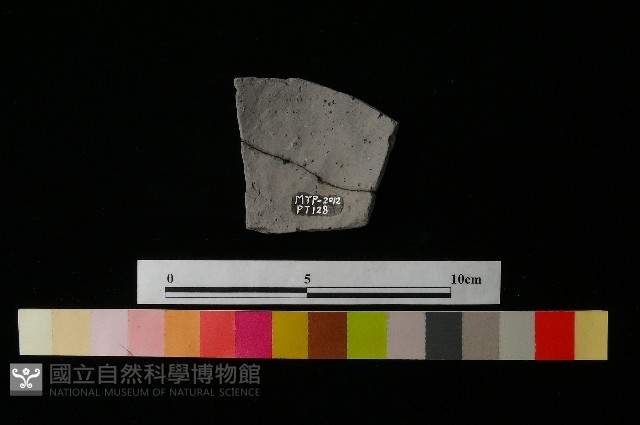 陶片藏品圖，第2張