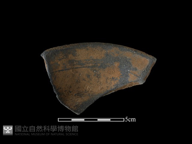陶罐藏品圖，第1張