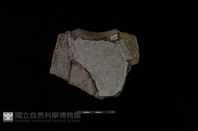 陶罐藏品圖，第3張