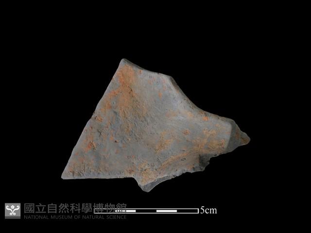 連杯形器藏品圖，第2張