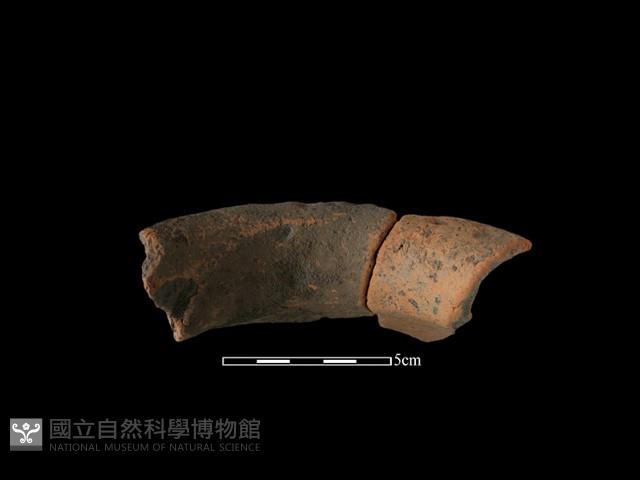 陶罐藏品圖，第1張