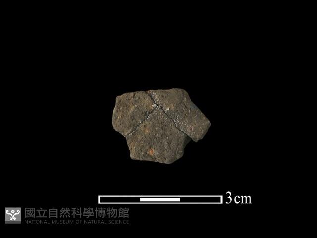 陶片藏品圖，第2張