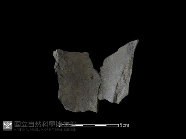 陶瓶藏品圖，第1張