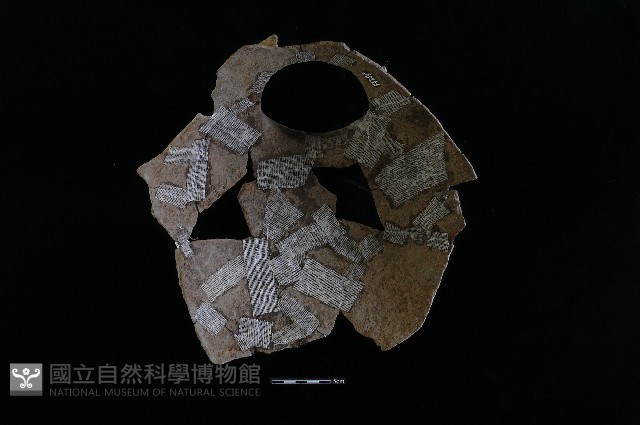 陶罐藏品圖，第3張