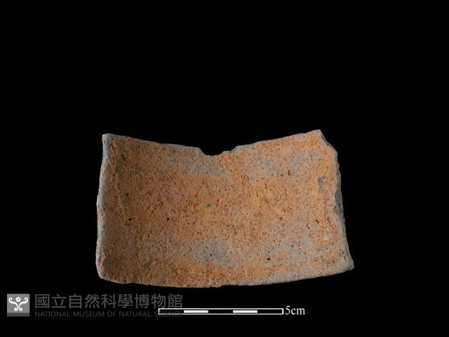 陶片藏品圖，第1張