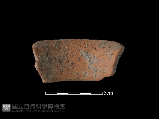 陶罐藏品圖，第2張