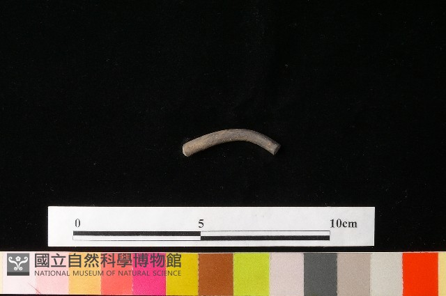 陶環藏品圖，第1張
