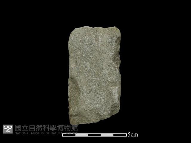 錛鑿形器藏品圖，第1張