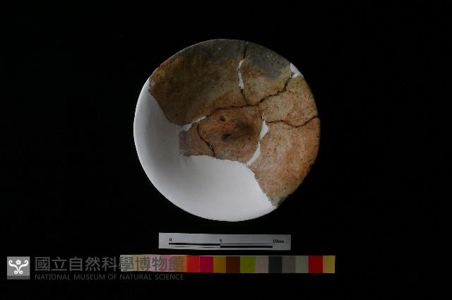 陶蓋藏品圖，第3張