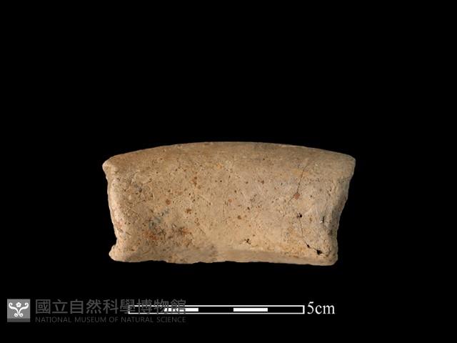 陶罐藏品圖，第2張