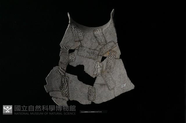 陶罐藏品圖，第2張