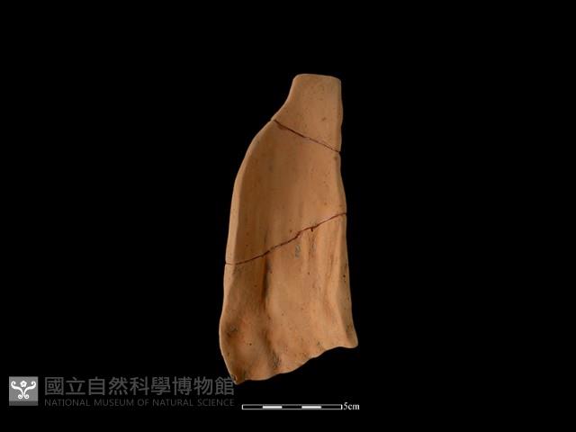 陶片藏品圖，第2張