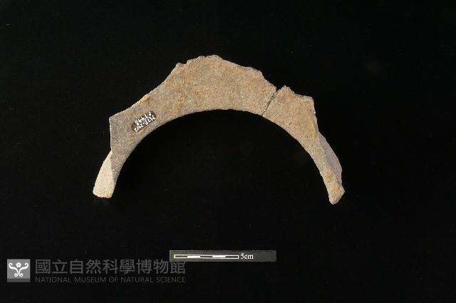 陶罐藏品圖，第3張