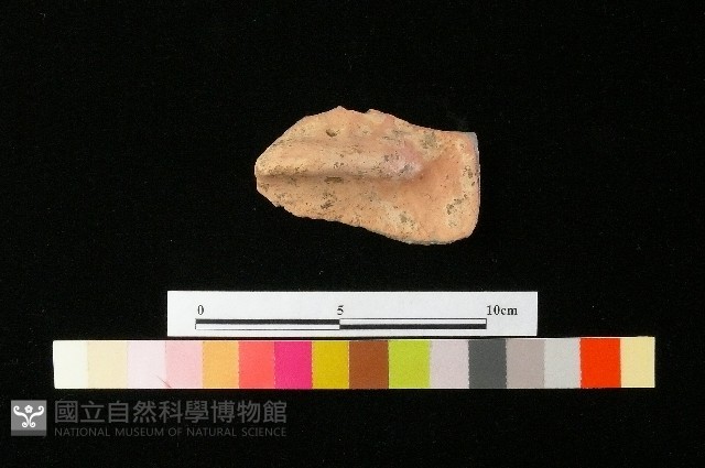 陶蓋藏品圖，第1張