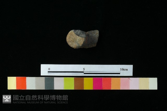 陶蓋藏品圖，第3張