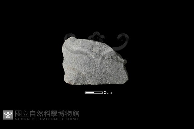 石片器藏品圖，第2張