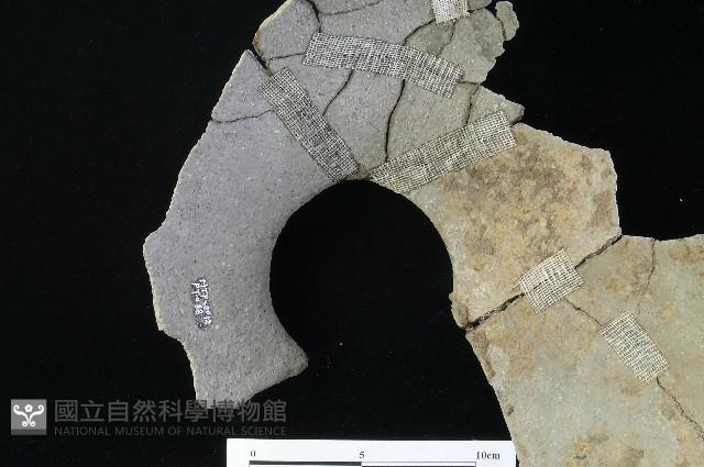 陶罐藏品圖，第3張