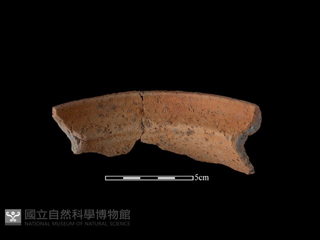 陶罐藏品圖，第2張